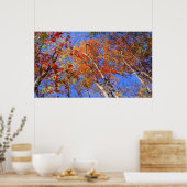 West Mt. Autumn Hot Springs National Park Poster (Keuken)