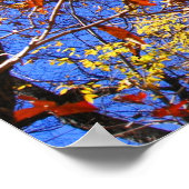 West Mt. Herfst Warmwaterbronnen Nationaal Park Po Poster (Hoek)