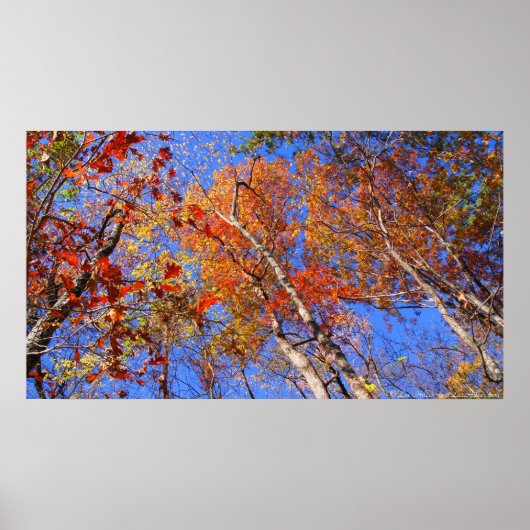 West Mt. Herfst Warmwaterbronnen Nationaal Park Po Poster (Voorkant)