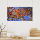 West Mt. Herfst Warmwaterbronnen Nationaal Park Po Poster (Keuken)