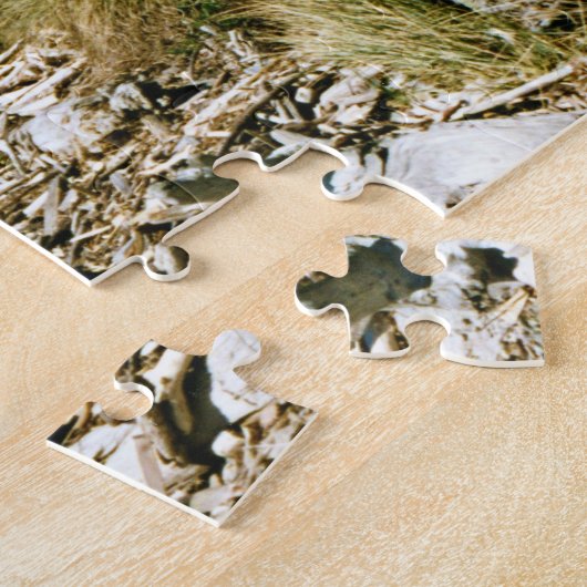 West Point Lighthouse, Seattle Washington Legpuzzel (Zijkant)