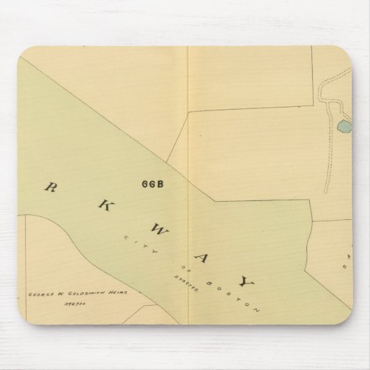 West Roxbury, Massachusetts 4 Muismat (Voorkant)