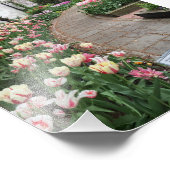 West Side Community Garden Tulip New York City NYC Foto Afdruk (Hoek)