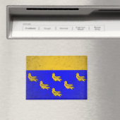 West Sussex Magneet (Insitu (Vaatwasser))