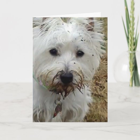 WEST TERRIER LOVE CARD FEESTDAGEN KAART (Voorkant)