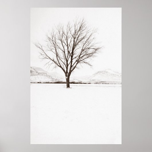 West Texas BLizzard Poster (Voorkant)