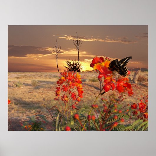 West Texas Sunset Poster (Voorkant)