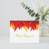 West Virginia Autumn Leaves Briefkaart (Staand voorkant)