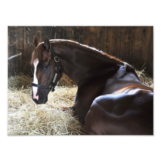 West Virginia Derby Winner "Madefromluck" Foto Afdruk (Voorkant)