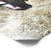 West Virginia Derby Winner "Madefromluck" Foto Afdruk (Hoek)