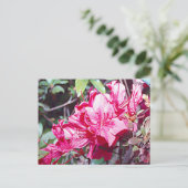 West Virginia Rhododendron Maximum Briefkaart (Staand voorkant)