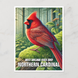 West Virginia State Bird - Noordelijke Kardinaal Briefkaart