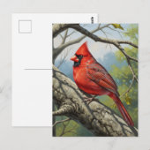West Virginia State Bird Northern Cardinal Briefkaart (Voorkant / Achterkant)