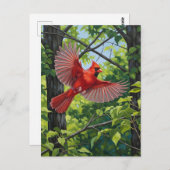 West Virginia State Bird Northern Cardinal Briefkaart (Voorkant / Achterkant)