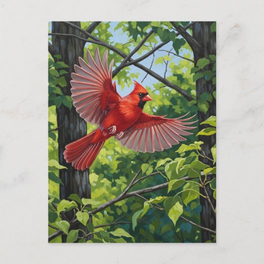 West Virginia State Bird Northern Cardinal Briefkaart (Voorkant)