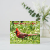 West Virginia State Bird - Northern Kardinaal Briefkaart (Staand voorkant)
