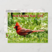 West Virginia State Bird - Northern Kardinaal Briefkaart (Voorkant / Achterkant)