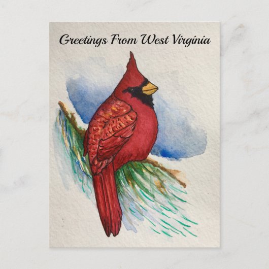 West Virginia State Bird Waterverf Briefkaart (Voorkant)