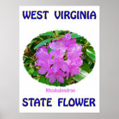 West Virginia State Flower, Rhododendron, Poster (Voorkant)