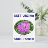 West Virginia State Flower T-Shirts & Gifts Briefkaart (Staand voorkant)