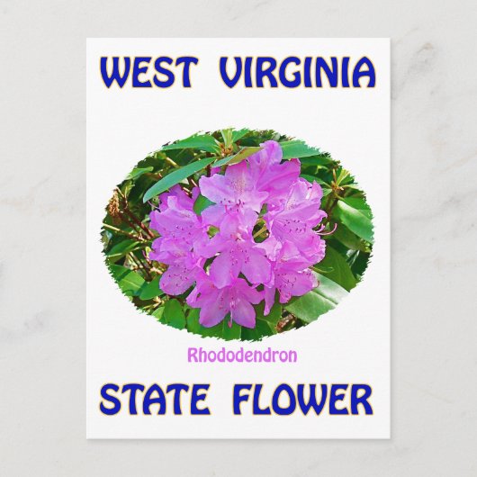 West Virginia State Flower T-Shirts & Gifts Briefkaart (Voorkant)