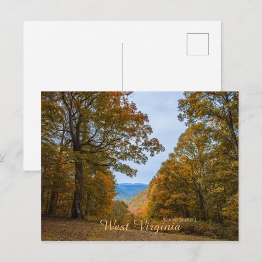 West Virginia Wild en Wonderful Herfst Foliage Briefkaart (Voorkant / Achterkant)