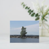 Westcott Bay Briefkaart (Staand voorkant)