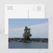 Westcott Bay Briefkaart (Voorkant / Achterkant)