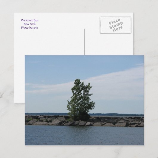 Westcott Bay Briefkaart (Voorkant / Achterkant)