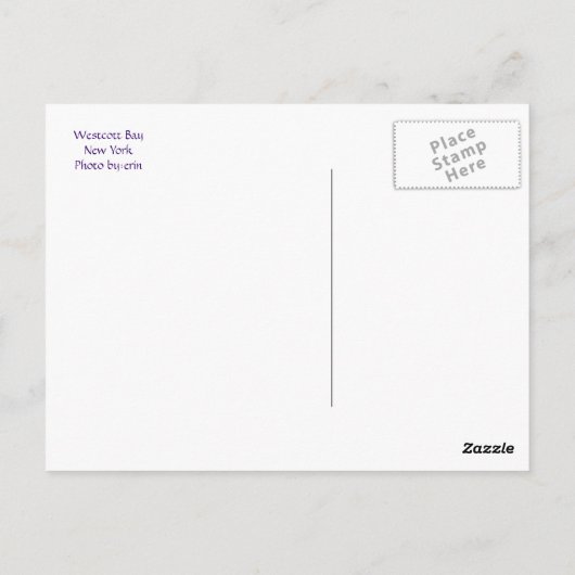 Westcott Bay Briefkaart (Achterkant)