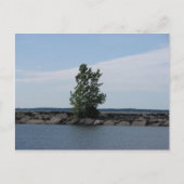 Westcott Bay Briefkaart (Voorkant)