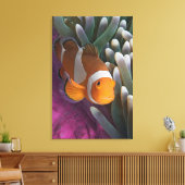 Westelijke Clown Anemoonvis Canvas Afdruk (Insitu (Woonkamer))