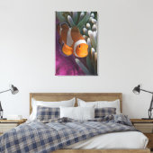 Westelijke Clown Anemoonvis Canvas Afdruk (Insitu (Slaapkamer))