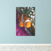 Westelijke Clown Anemoonvis Canvas Afdruk (Insitu (Houten vloer))