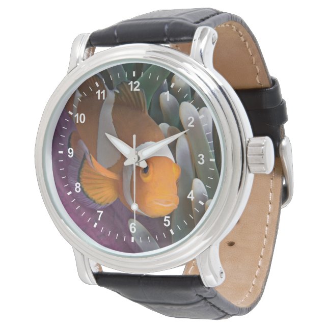 Westelijke Clown Anemoonvis Horloge (Gekanteld)