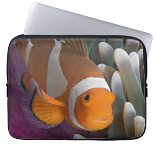 Westelijke Clown Anemoonvis Laptop Sleeve