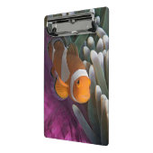 Westelijke Clown Anemoonvis Mini Klembord (Angled2)