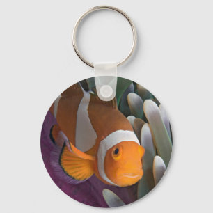 Westelijke Clown Anemoonvis Sleutelhanger