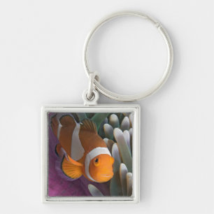 Westelijke Clown Anemoonvis Sleutelhanger