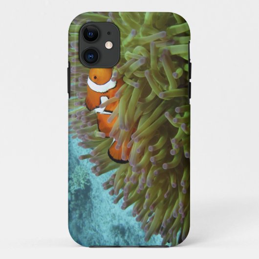 Westelijke Clownvis ( Amphiprion ocellaris ) Case-Mate iPhone Case (Achterkant)