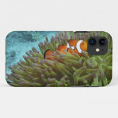 Westelijke Clownvis ( Amphiprion ocellaris ) Case-Mate iPhone Case (Achterkant (horizontaal))