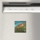 Westelijke clownvis (Amphiprion ocellaris) Magneet (Insitu (Vaatwasser))