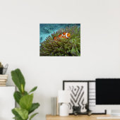 Westelijke Clownvis ( Amphiprion ocellaris ) Poster (Thuiskantoor)