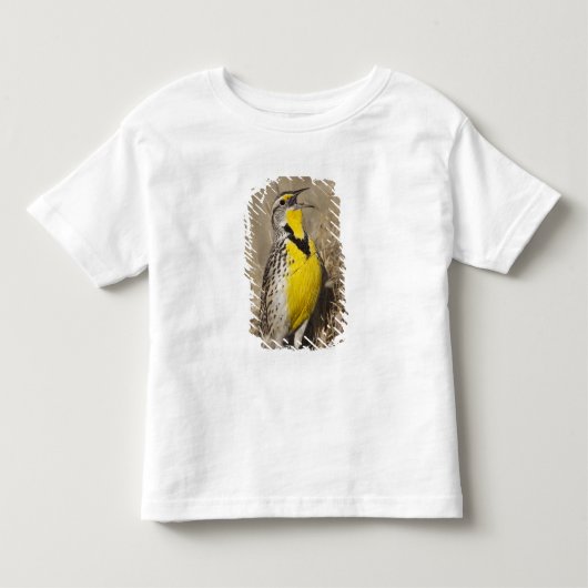 Westelijke Weideleeuwerik (Strunella neglecta) Kinder Shirts (Voorkant)