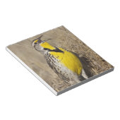 Westelijke weideleeuwerik (Strunella neglecta) Notitieblok (Schuin)