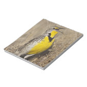 Westelijke weideleeuwerik (Strunella neglecta) Notitieblok (Linkerzijde)