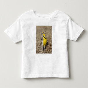 Westelijke weideleeuwerik (Sturnella neglecta) Kinder Shirts