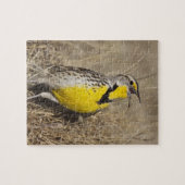 Westelijke weideleeuwerik (Sturnella neglecta) Legpuzzel (Horizontaal)