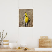 Westelijke weideleeuwerik (Sturnella neglecta) Poster (Keuken)