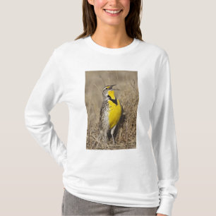 Westelijke Weidespreeuw (Sturnella neglecta) T-shirt